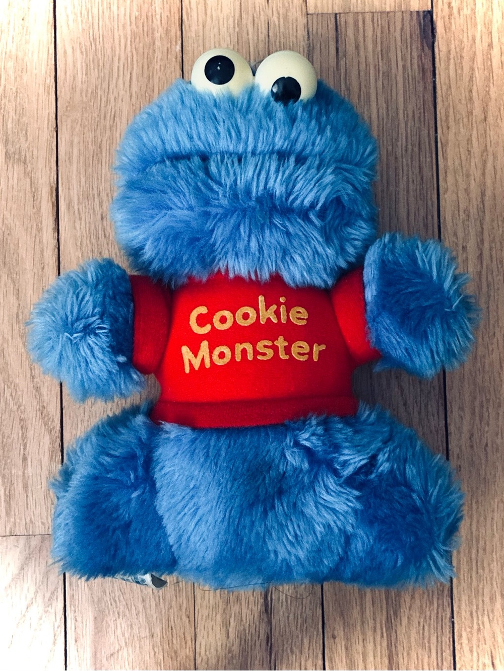 Vintage Cookie Monster, Hasbro Softies, Sesame Street, 80’s, 9”